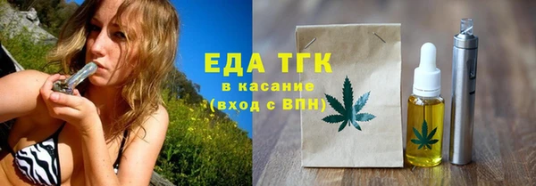 МДПВ Ельня