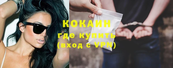 МДПВ Ельня