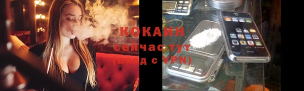 СК Елизово