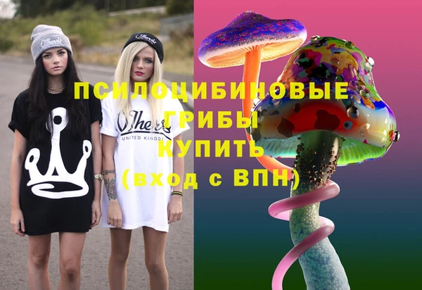соль курить ск Заводоуковск