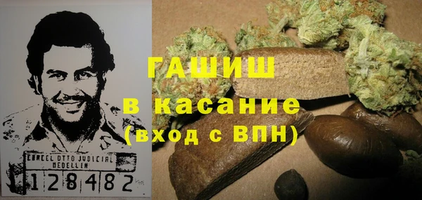 МДПВ Ельня