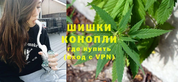 СК Елизово