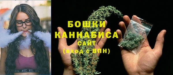 МДПВ Ельня